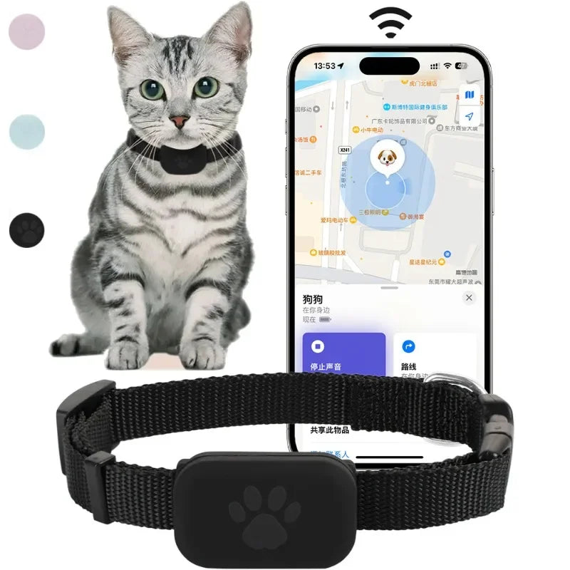 TK909 GPS Tracker for Dogs and Cats – Long Battery Life & Real-Time Tracking