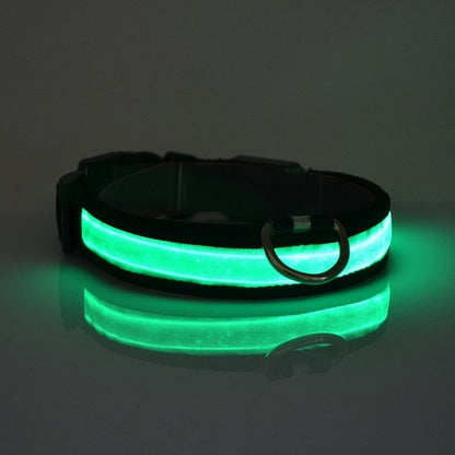LED Light-Up Dog Collar