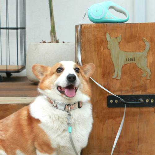 Automatic Retractable Dog Leash with LED Lighting