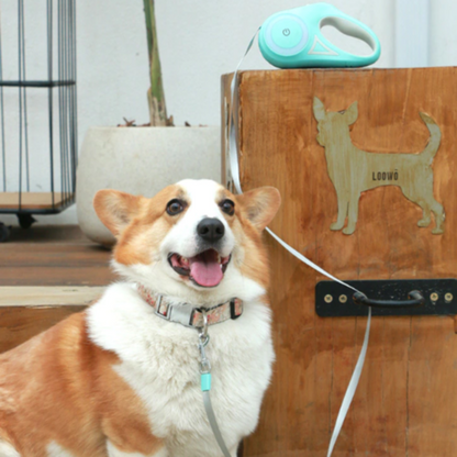 Automatic Retractable Dog Leash with LED Lighting
